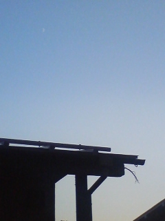070819_1743~01.jpg