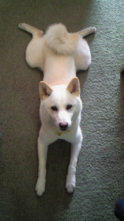 201102221243001.jpg
