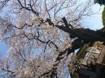 DSC_0110.jpg